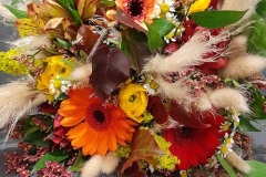 IMG_20231102_124751_933