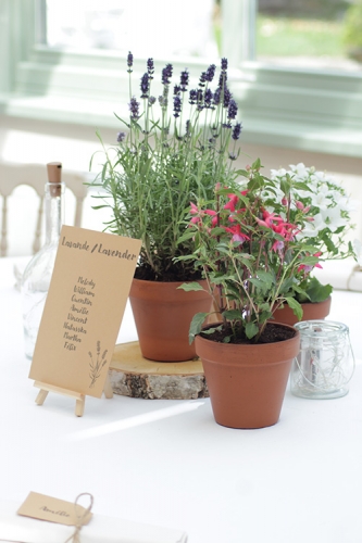Centre de table éco responsable avec plantes en pot nature aromatique fleuriste mariage