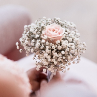 Une belle rose entourée de gypsophile