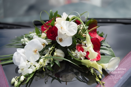 Composition exotique rouge et blanche pour le capot de la voiture