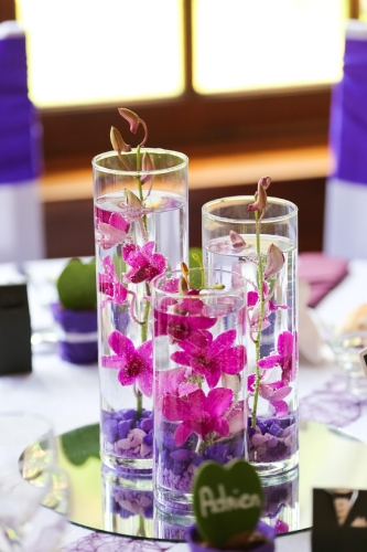 Orchidée fuchsia immergées dans un trio de vases